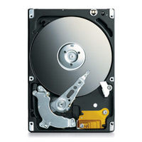 Seagate Momentus 5400.3 100 GB IDE Hard Drive