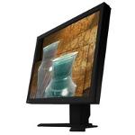 Eizo ColorEdge CG210 (Black) 21.3 inch LCD Monitor