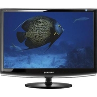 Samsung 2433BW Black 24  Widescreen LCD Monitor  24   1920x1200  5ms  DVI
