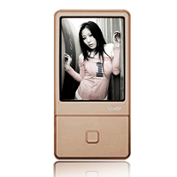 iRiver iriver E100 4 GB Multimedia Player  Brown