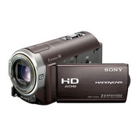 Sony HDR-CX300 Camcorder