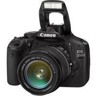 Canon EOS 550D /  EOS REBEL T2i Digital Camera with 55-250mm lens