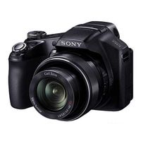 Sony  Cyber-Shot DSC-HX100V 3D Digital Camera