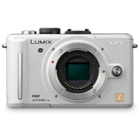 Panasonic Lumix DMC-GF1 Digital Camera with 14-42mm lens